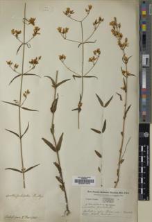 Type specimen at Edinburgh (E). Buchanan-Hamilton, Francis: 780. Barcode: E00001956.