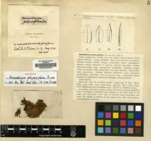 Type specimen at Edinburgh (E). Bell, William: 133. Barcode: E00002054.