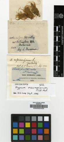 Type specimen at Edinburgh (E). Mossman, Samuel: 832. Barcode: E00002435.