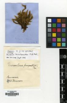 Type specimen at Edinburgh (E). Mossman, Samuel: 15. Barcode: E00002443.