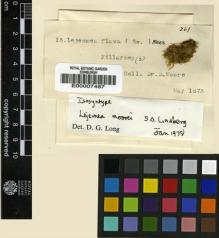 Type specimen at Edinburgh (E). Moore, David: 13. Barcode: E00007487.