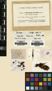 Type specimen at Edinburgh (E). Jones, Daniel: 1080B. Barcode: E00007491.