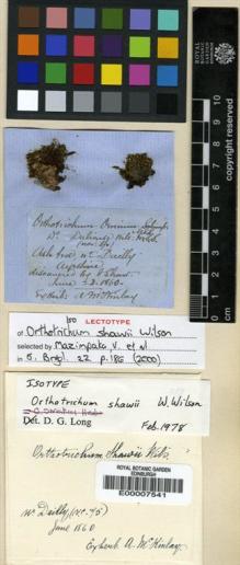 Type specimen at Edinburgh (E). Shaw, J.: . Barcode: E00007541.