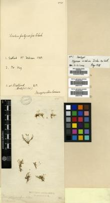 Type specimen at Edinburgh (E). Dickson, James: . Barcode: E00007550.