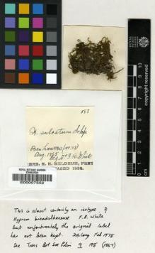 Type specimen at Edinburgh (E). White, Francis: . Barcode: E00007552.