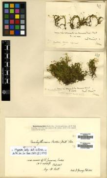 Type specimen at Edinburgh (E). Bell, William: 131. Barcode: E00007688.
