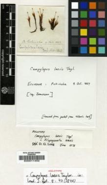 Type specimen at Edinburgh (E). Jameson, William: . Barcode: E00011452.