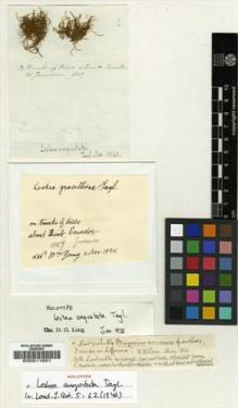 Type specimen at Edinburgh (E). Jameson, William: . Barcode: E00011651.