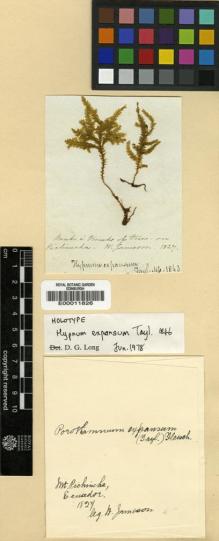 Type specimen at Edinburgh (E). Jameson, William: . Barcode: E00011826.