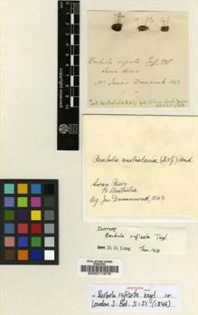 Type specimen at Edinburgh (E). Drummond, James: . Barcode: E00011976.