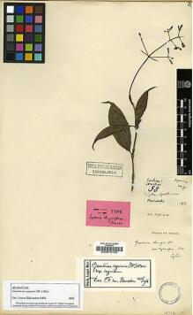 Type specimen at Edinburgh (E). Walker, George: 58. Barcode: E00013153.