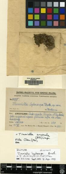 Type specimen at Edinburgh (E). Handel-Mazzetti, Heinrich: 10775. Barcode: E00049487.