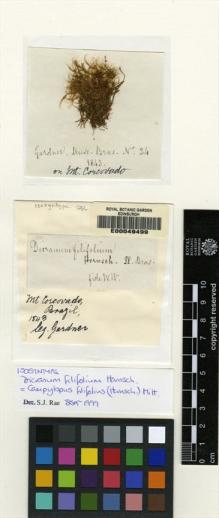 Type specimen at Edinburgh (E). Gardner, George: 24. Barcode: E00049499.
