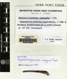 Type specimen at Edinburgh (E). Tixer, P.: 10258. Barcode: E00049560.