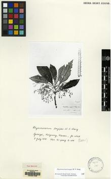 Type specimen at Edinburgh (E). : 2-144. Barcode: E00067509.