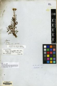 Type specimen at Edinburgh (E). Darwin, Charles: . Barcode: E00070236.
