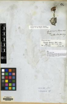 Type specimen at Edinburgh (E). Darwin, Charles: . Barcode: E00070238.