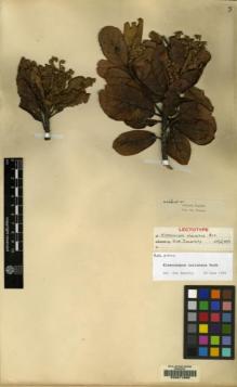 Type specimen at Edinburgh (E). Walker, George: . Barcode: E00071690.