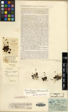 Type specimen at Edinburgh (E). Esquirol, Joseph: 3147. Barcode: E00079818.