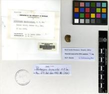 Type specimen at Edinburgh (E). Smith, Alexander: 68666. Barcode: E00090837.