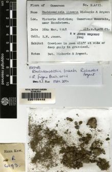 Type specimen at Edinburgh (E). Jones, Eustace: 4193. Barcode: E00108448.