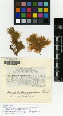 Type specimen at Edinburgh (E). Fleischer, Max: 192. Barcode: E00108479.