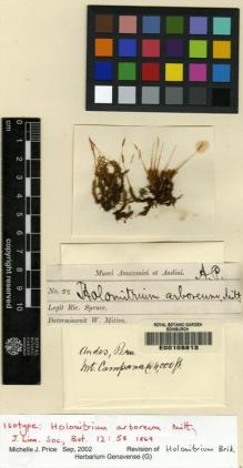 Type specimen at Edinburgh (E). Spruce, Richard: 22. Barcode: E00108813.
