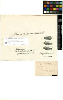 Type specimen at Edinburgh (E). Humboldt, Friedrich; Bonpland, Aime: . Barcode: E00108996.