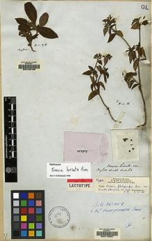 Type specimen at Edinburgh (E). Walker, George: 86. Barcode: E00115507.