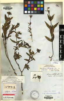 Type specimen at Edinburgh (E). Walker, George: 85. Barcode: E00115508.
