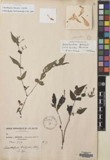 Type specimen at Edinburgh (E). Dalziel, John: 71. Barcode: E00133349.