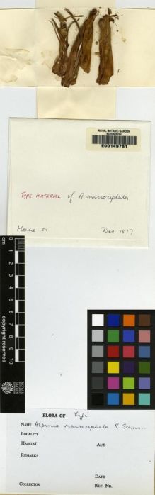 Type specimen at Edinburgh (E). Horne, John: . Barcode: E00149761.