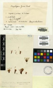 Type specimen at Edinburgh (E). Dickson, James: . Barcode: E00154323.