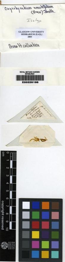 Type specimen at Edinburgh (E). Greville, Robert: . Barcode: E00226196.