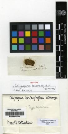 Type specimen at Edinburgh (E). : . Barcode: E00226214.