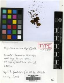 Type specimen at Edinburgh (E). Gradstein, Stephan; Noske, N.: 10090. Barcode: E00237842.