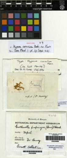 Type specimen at Edinburgh (E). Harvey, William: . Barcode: E00246886.