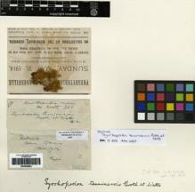Type specimen at Edinburgh (E). Gunn, William: WATTS 318. Barcode: E00246893.