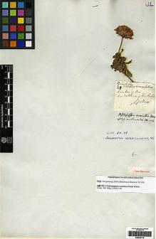 Type specimen at Edinburgh (E). Gillies, John: 68. Barcode: E00253114.