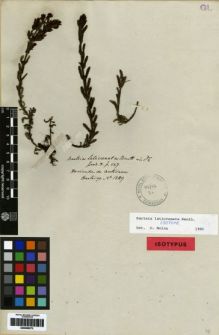 Type specimen at Edinburgh (E). Hartweg, Karl: 1289. Barcode: E00259273.