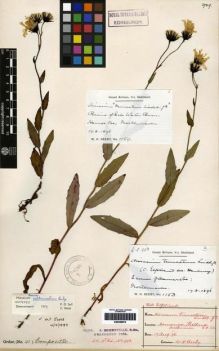 Type specimen at Edinburgh (E). Beeby, William: 3. Barcode: E00259974.