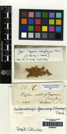 Type specimen at Edinburgh (E). Harvey, William: . Barcode: E00268051.