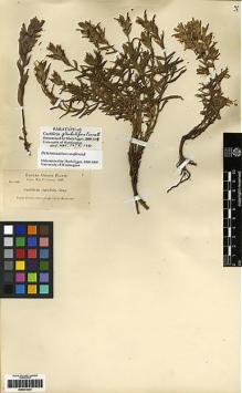 Type specimen at Edinburgh (E). Cusick, William: 1786. Barcode: E00272421.