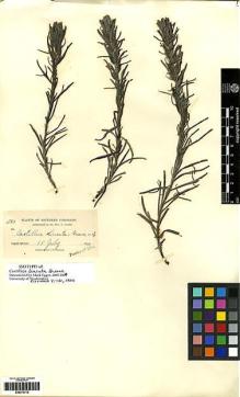 Type specimen at Edinburgh (E). Baker, Charles: 583. Barcode: E00272712.