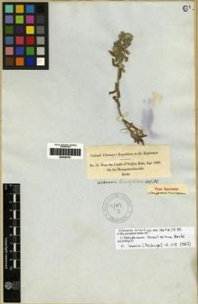 Type specimen at Edinburgh (E). Chesney, Francis: 75. Barcode: E00284791.