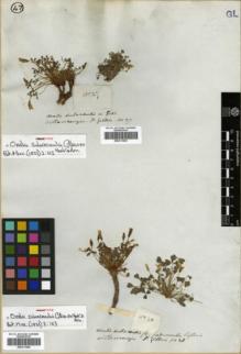 Type specimen at Edinburgh (E). Gillies, John: 28. Barcode: E00311960.