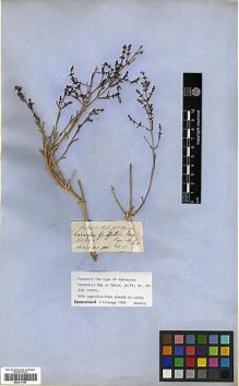 Type specimen at Edinburgh (E). Thomson, Thomas: . Barcode: E00317547.