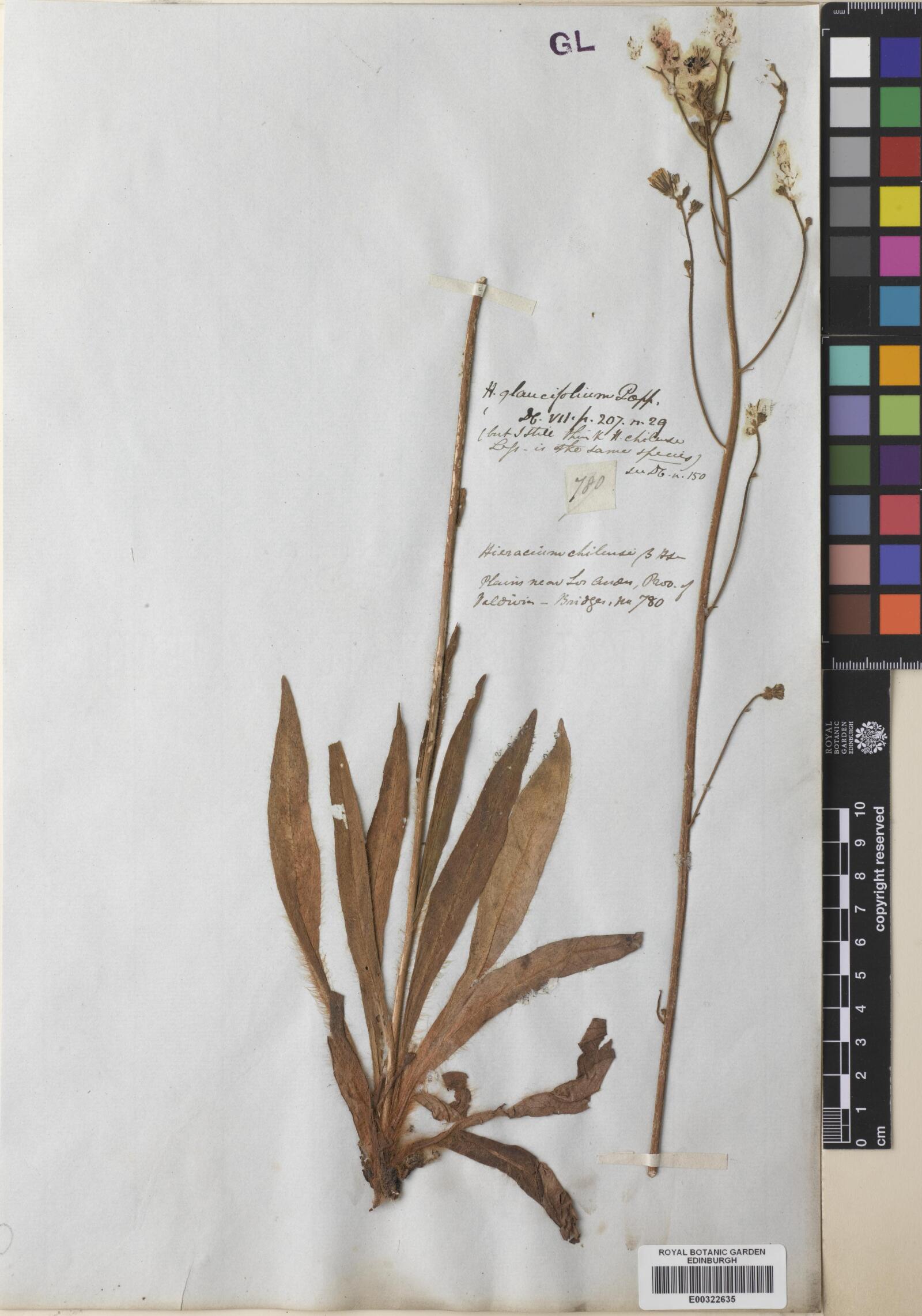 Royal Botanic Garden Edinburgh, no rights reserved (CC0)