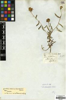 Type specimen at Edinburgh (E). Gillies, John: 65. Barcode: E00322812.