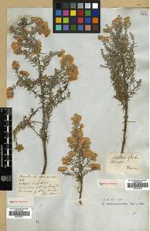 Type specimen at Edinburgh (E). Gillies, John: 185. Barcode: E00322911.
